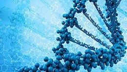 儀器信息網(wǎng)食品安全技術(shù)交流會暨技術(shù)轉(zhuǎn)讓合作論壇