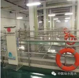 FCR花園式污水處理技術 一座會“生長”的未來污水廠